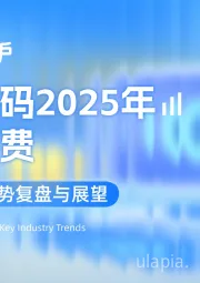 数据解码2025年线上消费：重点行业趋势复盘与展望