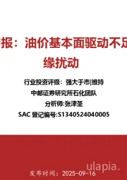 石化行业周报：油价基本面驱动不足，但存地缘扰动