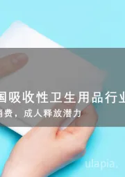 2025年中国吸收性卫生用品行业报告：女性升级消费，成人释放潜力