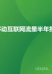 2025H1中国移动互联网流量半年报告