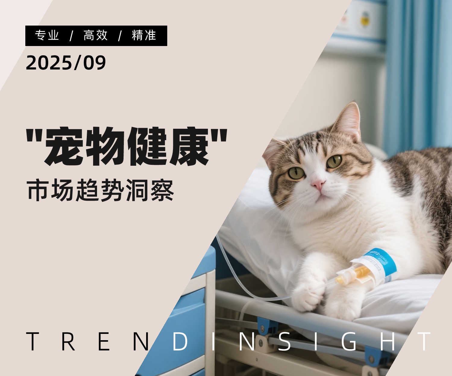 2025/09“宠物健康”市场趋势洞察