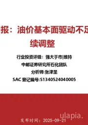 石化行业周报：油价基本面驱动不足，石化继续调整