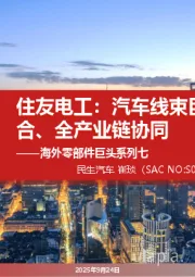 海外零部件巨头系列七：住友电工：汽车线束巨头并购整合、全产业链协同