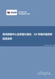 美光数据中心业务增长强劲，Q4存储价格或将延续涨势