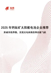 2025年钙钛矿太阳能电池企业推荐突破传统界限，实现光电转换效率的新飞跃