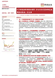 大能源行业2025年第39周周报:8月新能源新增装机续降 非电利用有望助绿氢氨醇获政策进一步支持
