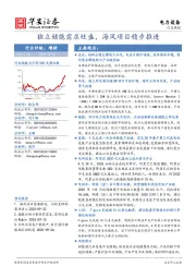 电力设备行业周报：独立储能需求旺盛，海风项目稳步推进