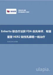 医药生物行业周报:Enhertu联合疗法获FDA优先审评,有望重塑HER2阳性乳腺癌一线治疗