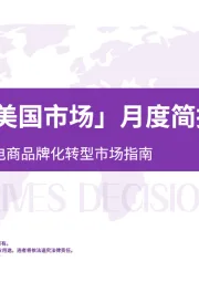 「充气帐篷美国市场」月度简报：数据驱动的跨境电商品牌化转型市场指南