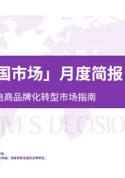 「卷发棒美国市场」月度简报：数据驱动的跨境电商品牌化转型市场指南