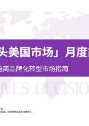 「婴儿摄像头美国市场」月度简报：数据驱动的跨境电商品牌化转型市场指南
