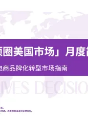 「电子训练项圈行业美国市场」月度简报：数据驱动的跨境电商品牌化转型市场指南