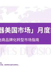 「婴儿温奶器美国市场」月度简报：数据驱动的跨境电商品牌化转型市场指南
