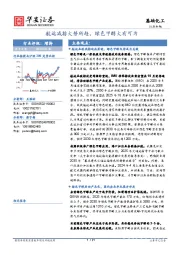 基础化工行业专题：航运减排大势所趋，绿色甲醇大有可为