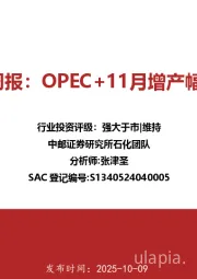 石化行业周报：OPEC+11月增产幅度较温和