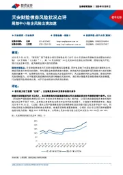 保险Ⅱ：天安财险债券风险状况点评-尾部中小险企风险出清加速
