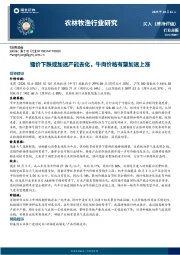 农林牧渔行业研究：猪价下跌或加速产能去化，牛肉价格有望加速上涨