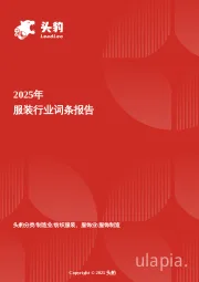 2025年服装行业词条报告