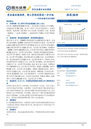 有色金属行业双周报：贵金属延续强势，稀土管制政策进一步升级
