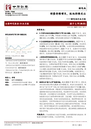 锂电池行业月报：销量持续增长，板块持续关注