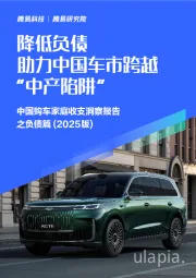 中国购车家庭收支洞察报告之负债篇（2025版）：降低负债助力中国车市跨越“中产陷阱”