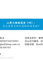 AI算力跟踪深度（四）：怎么看算力的天花板和成长性？