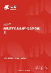 企业竞争图谱：2025年新能源车轻量化材料 头豹词条报告系列
