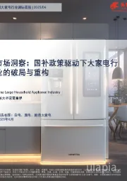 市场洞察：国补政策驱动下大家电行业的破局与重构