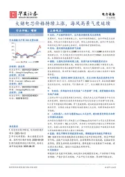 电力设备行业周报：大储电芯价格持续上涨，海风高景气度延续