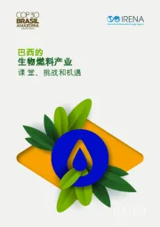 巴西的生物燃料产业：课堂、挑战和机遇