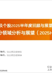 天风医药细分领域分析与展望（2025H1）：体外诊断行业及个股2025半年度回顾与展望