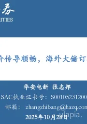 电新：国内储能涨价传导顺畅，海外大储订单稳中向好