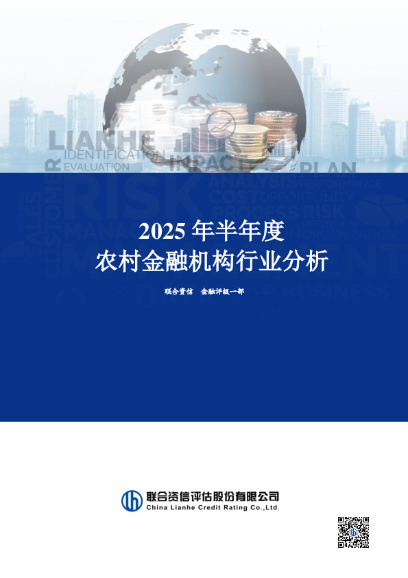 2025年半年度农村金融机构行业分析