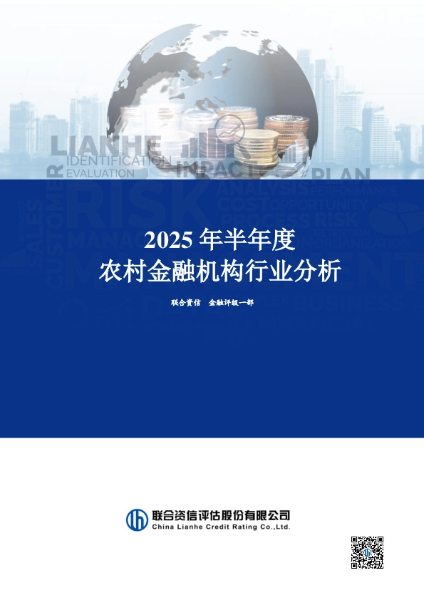 2025年半年度农村金融机构行业分析