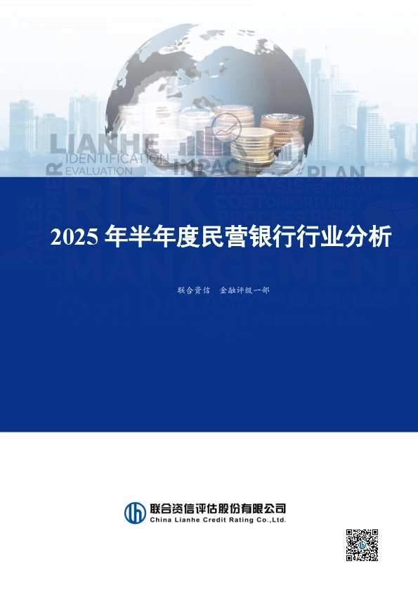 2025年半年度民营银行行业分析