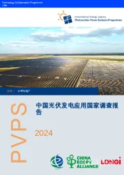 中国光伏发电应用国家调查报告2024