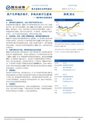 碳纤维行业深度报告:国产化率稳步提升,多域共振万亿蓝海