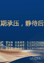 医药行业：板块短期承压，静待后续改善