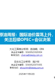 原油周报：国际油价震荡上升，关注后续OPEC+会议决策