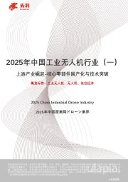 2025年中国工业无人机行业（一）：上游产业崛起-核心零部件国产化与技术突破