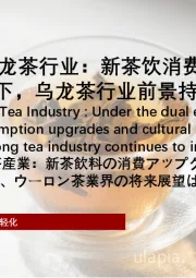 2025年中国乌龙茶行业：新茶饮消费升级与文化推广的双重赋能下，乌龙茶行业前景持续向好