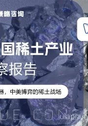 2025中国稀土产业市场洞察报告：从资源到战略武器，中美博弈的稀土战场