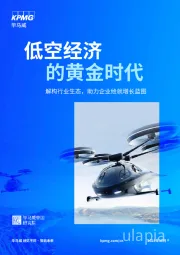 低空经济的黄金时代：解构行业生态，助力企业绘就增长蓝图
