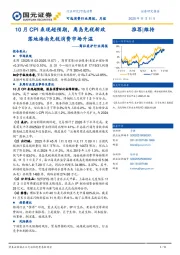 商社美护行业周报：10月CPI表现超预期，离岛免税新政落地海南免税消费市场升温