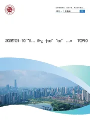 2025年1-10月石家庄房地产企业销售业绩TOP10