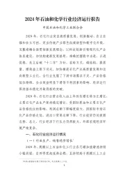2024年石油和化学行业经济运行报告