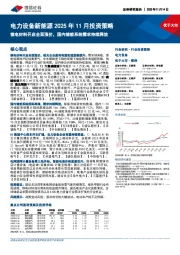 电力设备新能源2025年11月投资策略：锂电材料开启全面涨价，国内储能系统需求持续释放