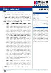 新股覆盖研究：肯特催化