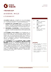 6月通胀数据点评：CPI强势渐微；PPI走弱