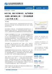 实体高频观察（2019年第29周）：油价下跌，铁矿石价格回升，地产销售依旧疲弱，猪价继续上涨